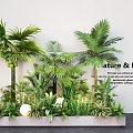 Lush Plant Combination With Palm Trees Green Plants White Spherical Lights And Nature Peace Vibe