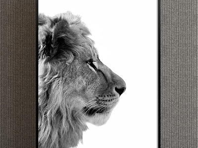 Modern Animal Painting Black and White Children's Room Animal Lion Decorative Painting model