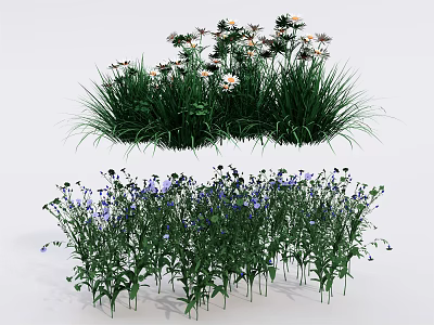 Vibrant Mixed Flowers With White Blooms Purple Petals And Lush Green Grass 3d model