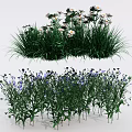 Vibrant Mixed Flowers With White Blooms Purple Petals And Lush Green Grass
