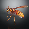 Yellow And Brown Striped Hornet With Wings Flying On Dark Background