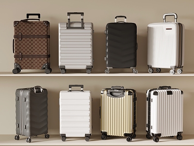 Modern Luggage model