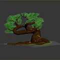 Bonsai Tree with Curved Brown Trunk Green Leaves and Exposed Roots on Green Grass Base