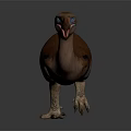 Dodo Bird 3D Model With Brown Feathers Blue Eyes Red Beak Standing On Gray Background