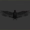 Black Raven with Spread Wings and Detailed Feather Texture on Gray Background