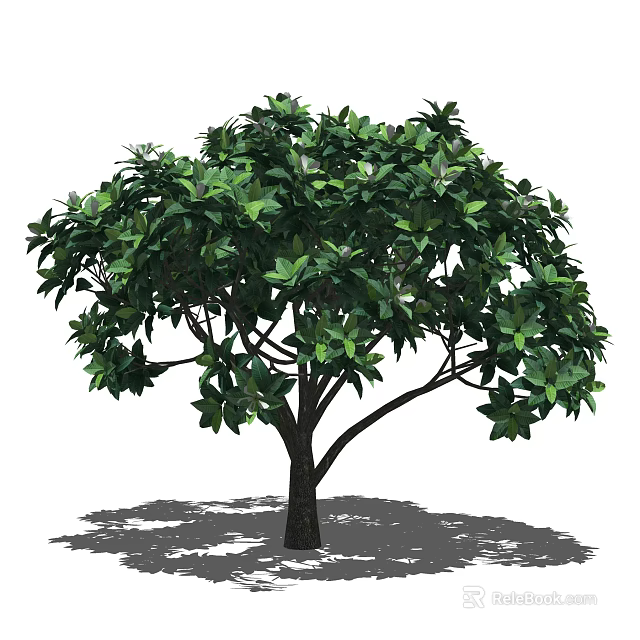 Lush Green Arbor With Dense Foliage Dark Trunk And Shadow 3d model 