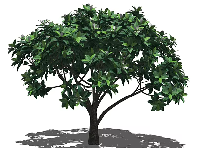 Lush Green Arbor With Dense Foliage Dark Trunk And Shadow 3d model