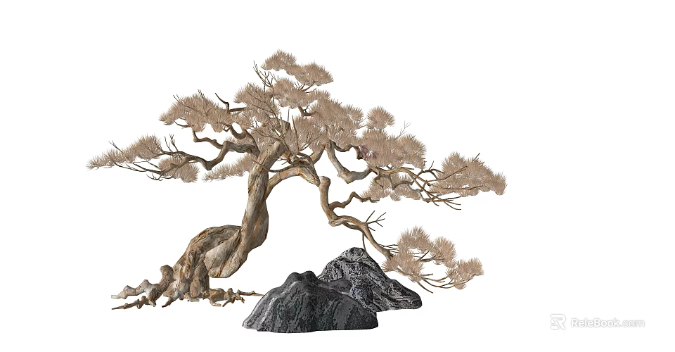 Natural Tree Pool with Curved Pine Tree Trunk and Ornamental Stone 3d model