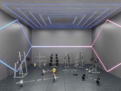 INDUSTRIAL LOFT GYM WEIGHTING AREA model