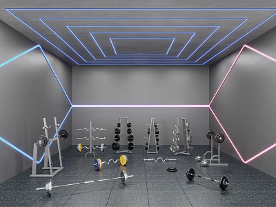 Modern Fitness Gym With Multiple Barbells Dumbbell Racks And Neon Light Decorations 3d model