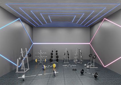 INDUSTRIAL LOFT GYM WEIGHTING AREA 3d model