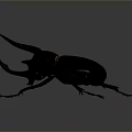 Horned Rhinoceros Beetle With Black Green Body And Red Legs On Grey Background