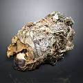 Organ Specimen With Hair Like Fibrous Textured Surface And Irregular Shape
