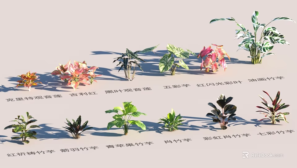 Diverse Garden Landscape With Various Ornamental Plants Including Anthurium Lucky Bamboo And Bromeliad 3d model 