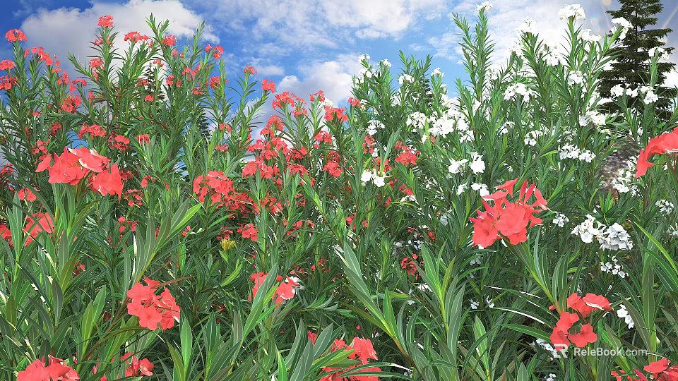 Red and White Flowers with Green Leaves Under Blue Sky and White Clouds 3d model 