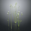 3D Rendered White Small Flowers with Green Stems and Leaves on Black Background