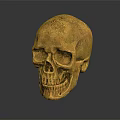 Animal Skull Ornament in Golden Finish Placed on Black Background with Shiny Reflection