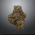 Vibrant Cannabis Bud Featuring Green Purple Orange Hues And Trichome Covered Surface