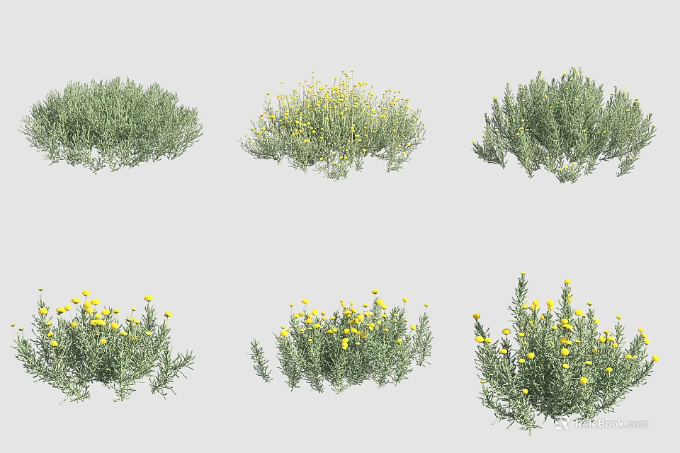 Multiple Green Grass and Yellow Flower Models for Garden Landscaping Use 3d model