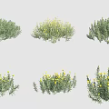 Multiple Green Grass and Yellow Flower Models for Garden Landscaping Use 3d model
