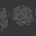 Three Trees With Various Leafy Branches And Natural Trunk Structure On Gray Background 3d model