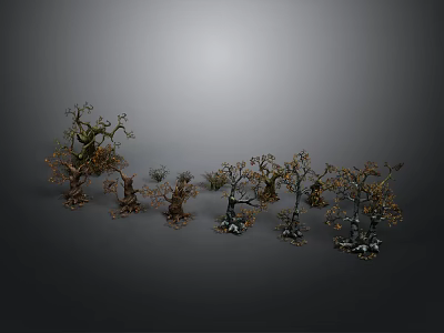 Small Potted Plants With Diverse Leaf Shapes And Colors For Indoor Decor 3d model