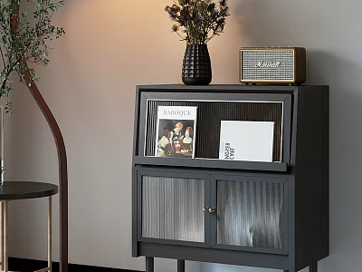 Stylish Dark Decorative Cabinet With Glass Door Vase Flowers Vintage Radio And Magazines 3d model