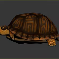 Artistic Painted Turtle With Geometric Patterns On Vibrant Orange Brown Shell