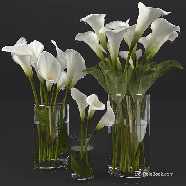 White Calla Lily Flowers In Transparent Glass Vases With Green Leaves And Different Heights 3d model 