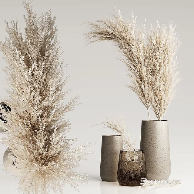 Tall And Small Gray Concrete Vases With Pampas Grass For Interior Decor 3d model 