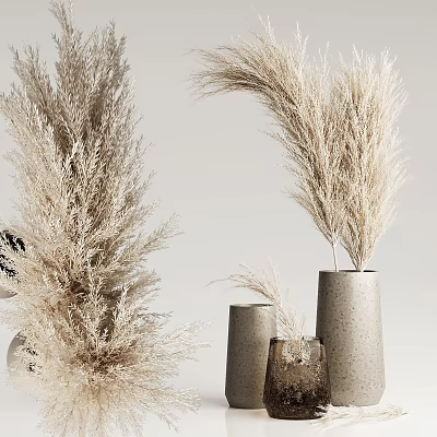 Tall And Small Gray Concrete Vases With Pampas Grass For Interior Decor 3d model