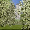 Modern Office Building Exterior With Tall High Rise Structure Greenery And Cars On Road