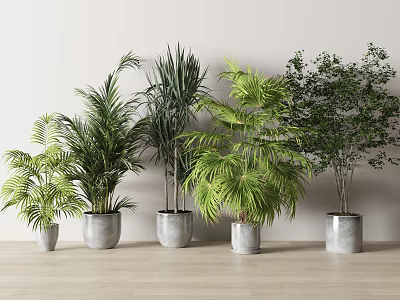 green plant potted plant potted plant banana leaf small leaf plant tree flowerpot bonsai landscape green plant flower hot 3d model