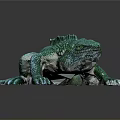 Green Lizard With Scaly Skin And Spiny Back On Dark Background