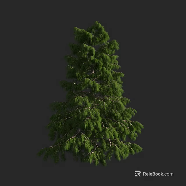Tall Evergreen Arbor With Lush Green Foliage And Dense Canopy In Natural Outdoor Setting 3d model 