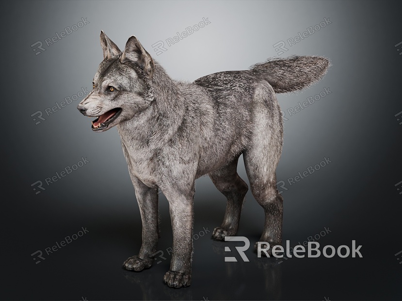 Modern wolf Little wolf model