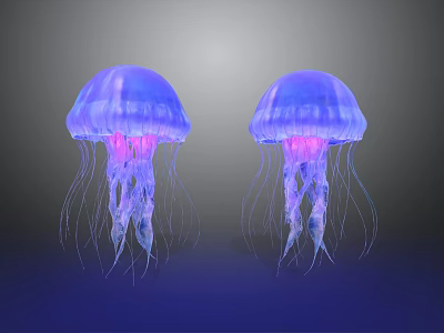 Two Blue Purple Jellyfish With Long Glowing Tentacles In Vibrant Underwater Scene 3d model