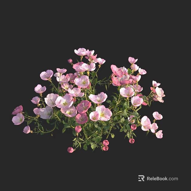 Blooming Cluster of Pink White Flowers with Green Leaves on Black Background 3d model 