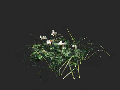 Clustered Green Grass With Small White Flowers in Natural Garden Arrangement 3d model