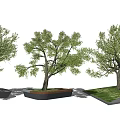 Tree Pit with Different Designs and Lush Green Trees in Concrete Brick Grass Landscape