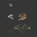 Various Forms of Trees Including Withered Orange Leaf and Blue Plants on Dark Background