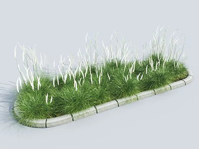 Green Shrubs In Long Flower Bed With White Grass Like Plants And Gray Stone Border 3d model