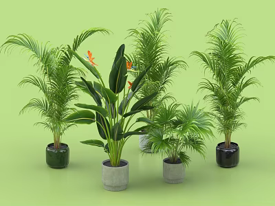 Bonsai Potted Plants With Various Greenery Different Sizes And Colored Pots On Green Background 3d model