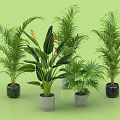 Bonsai Potted Plants With Various Greenery Different Sizes And Colored Pots On Green Background