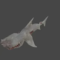 Mythical Fierce Shark With Sharp Teeth And Menacing Grayish White Appearance