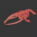 Detailed Marine Animal Skeleton With Long Jaw And Vertebrae Structure On Dark Background