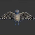 Detailed Falcon Bird with Spread Wings Standing on Reflective Gray Background