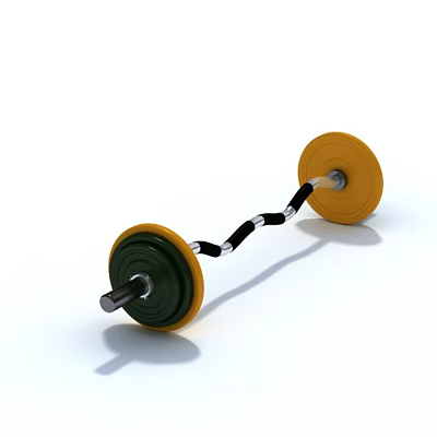Fitness Sports Equipment Barbell With Yellow And Green Weight Plates And Black Bar 3d model