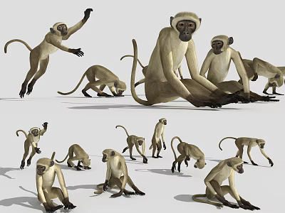 Collection Of Reptile Models Showing Various Active And Resting Positions 3d model