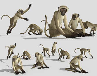 The Modern Monkey 3d model